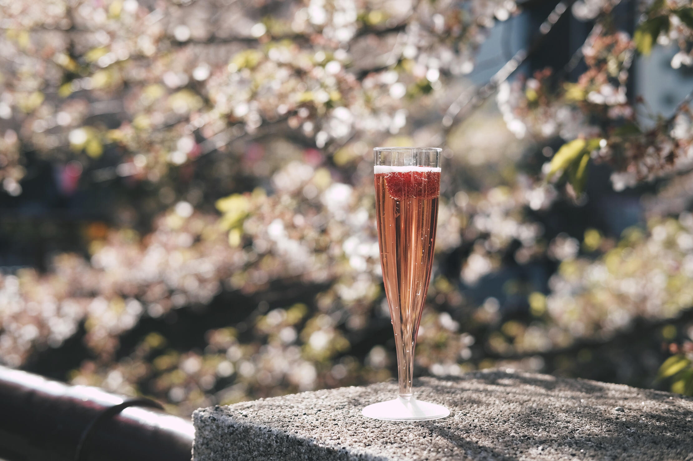 Verre de champagne rosé